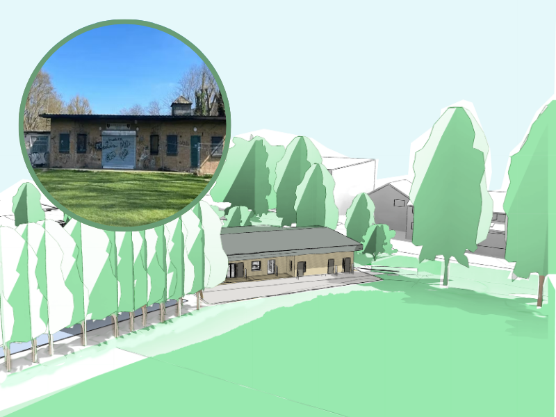 Image accompanying coverage of Fixing the Foundation: The Long, Uneven Road to Chingford’s Cricket Rebirth
